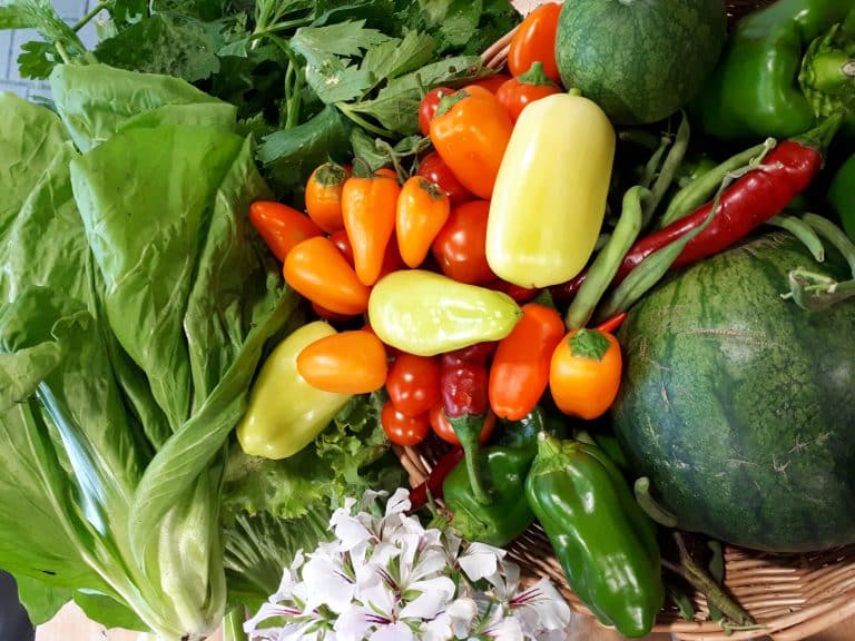 Panier de fruits et légumes pleins de nutriments