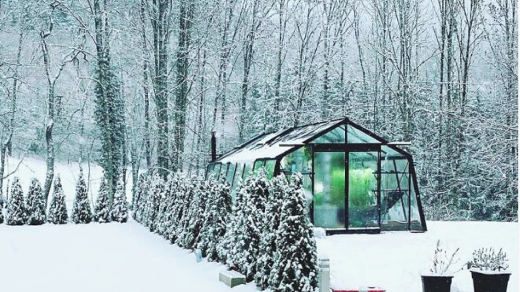 Ein Myfood-Gewächshaus im Winter unter einer Schneedecke